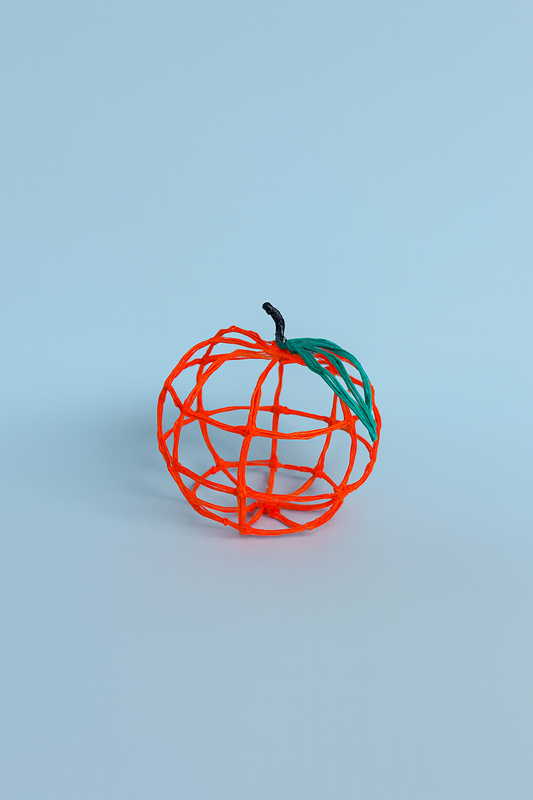 FRUIT - Appel rood