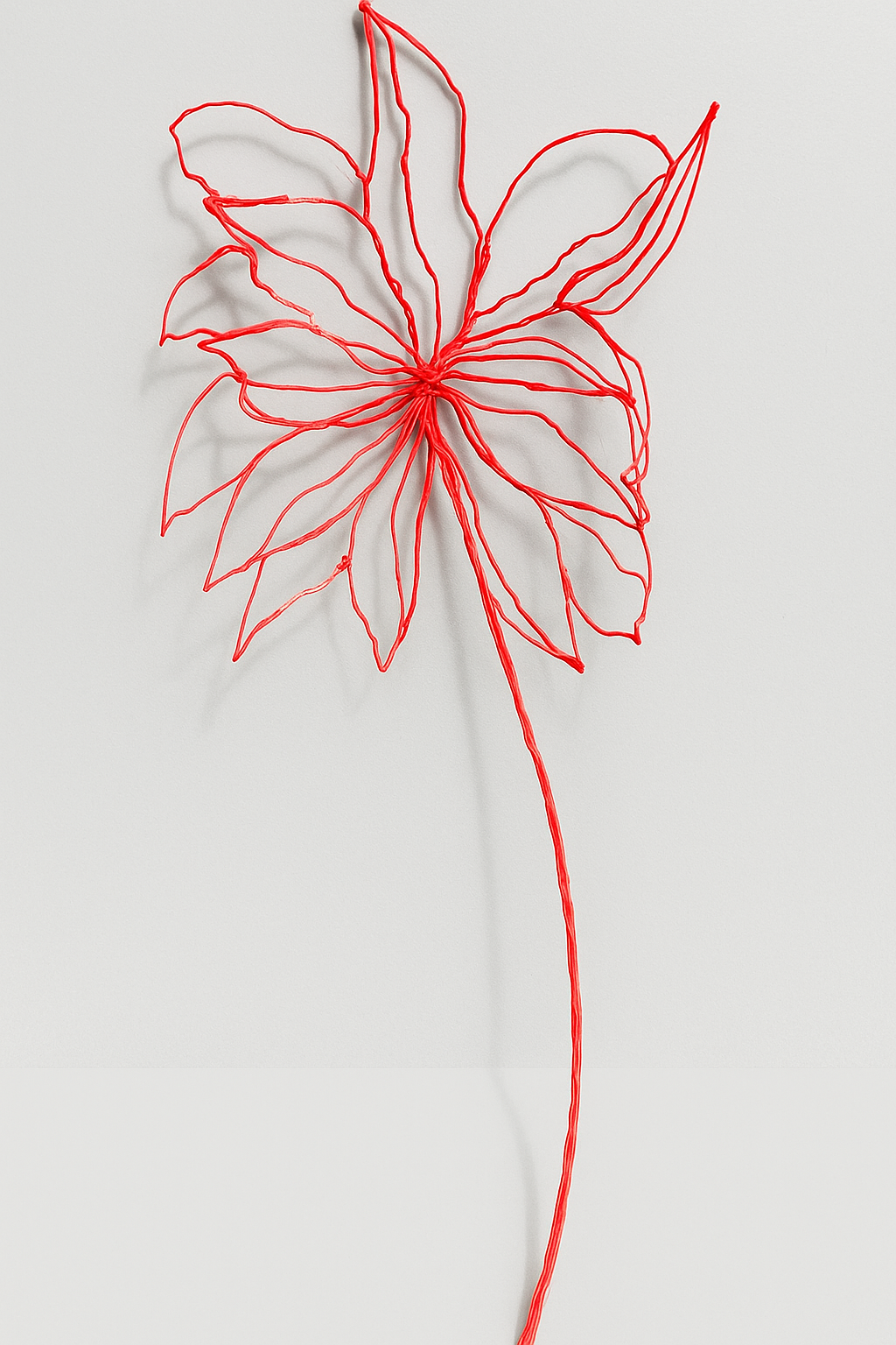 Red flower