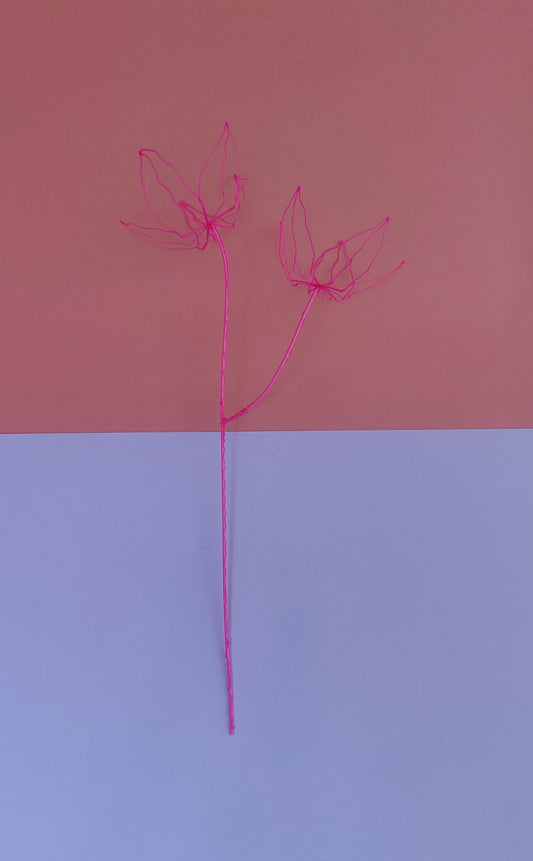Dubbele bloem - roze