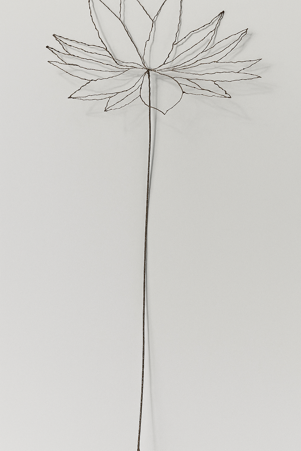 Vtwonen - Flower brown