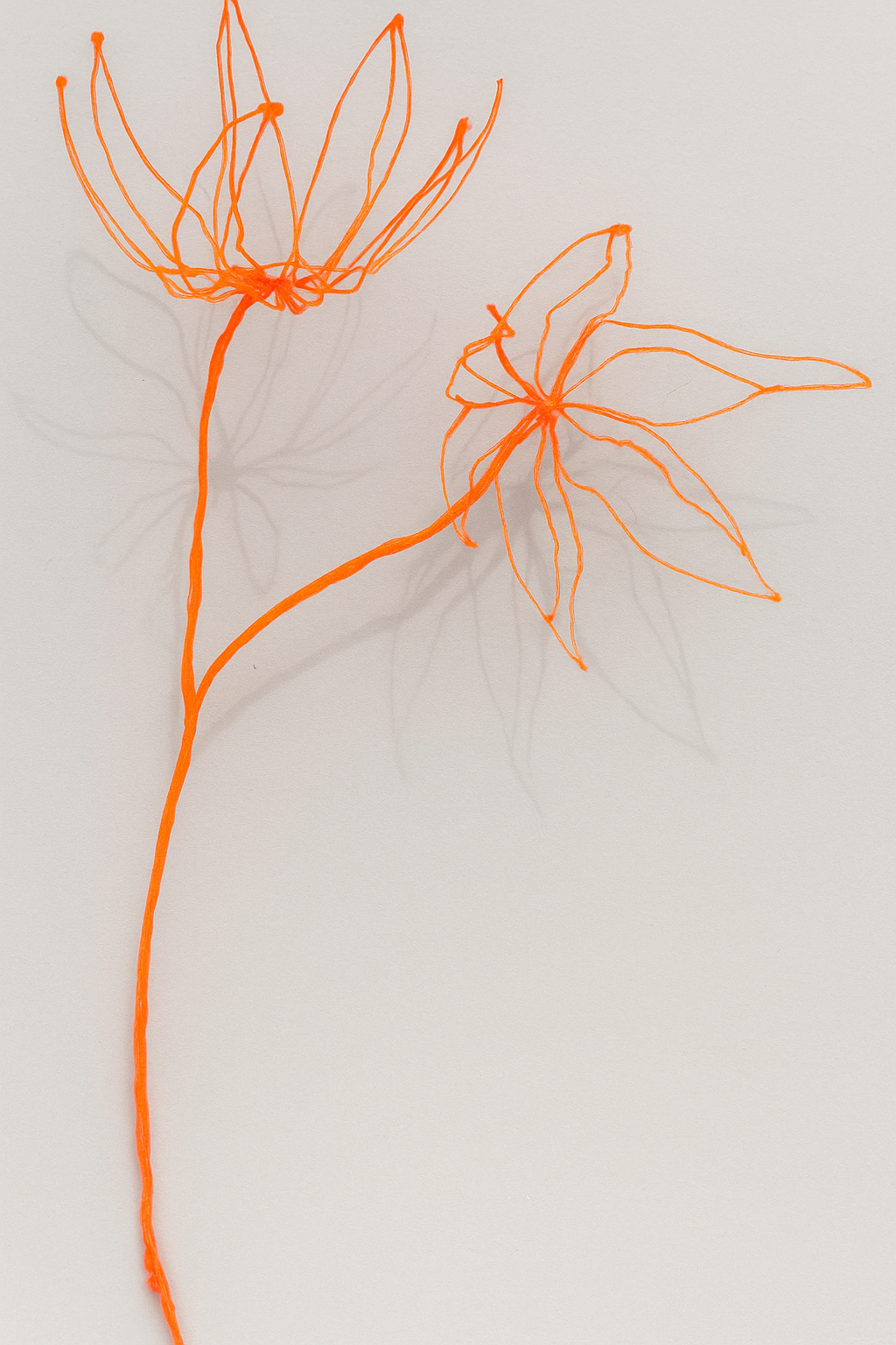 Orange Flower
