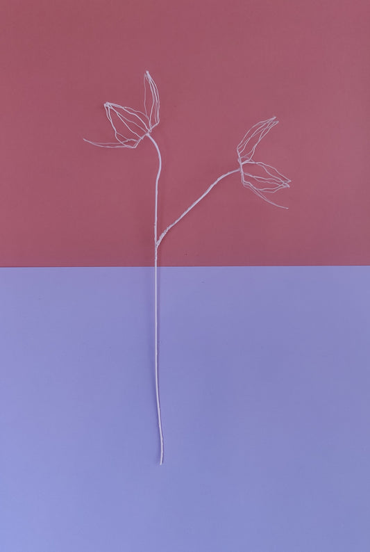 dubbele bloem | licht roze